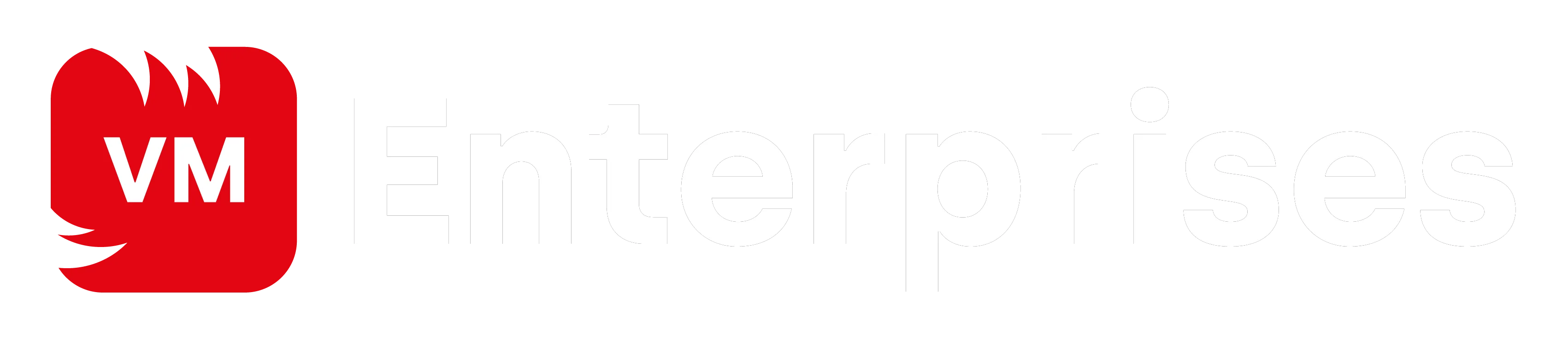 VM Enterprises Logo